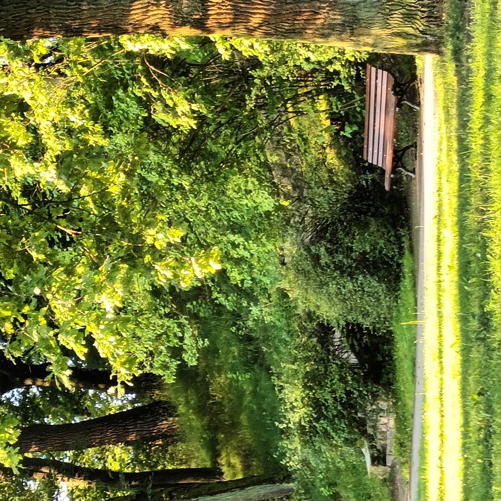 Фотография автора Maks Lanister