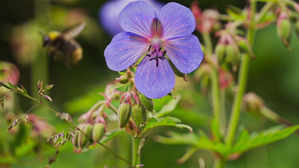 Photograph by Александр Климов