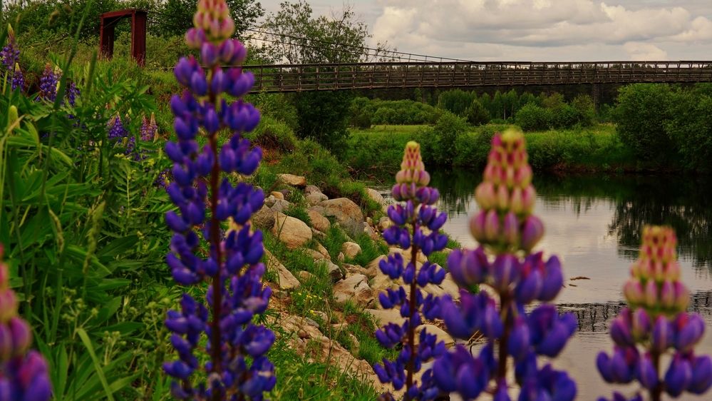 Photograph by Александр Климов