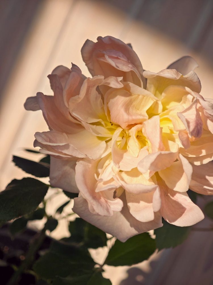 Photograph by Татьяна Соколовская