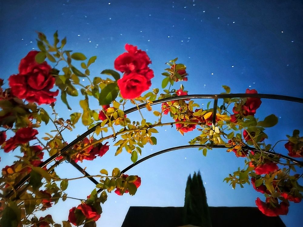 Photograph by Татьяна Соколовская