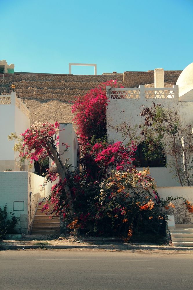 Photograph by Герасимов Игорь