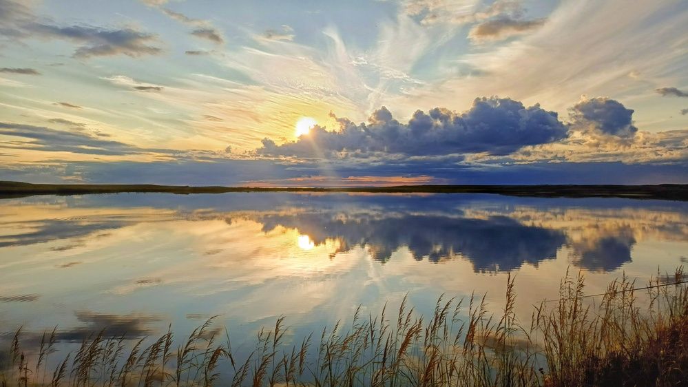 Photograph by Мария Честных