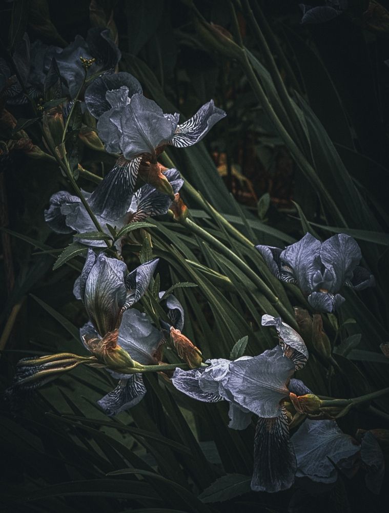 Photograph by Наталия Любчикова