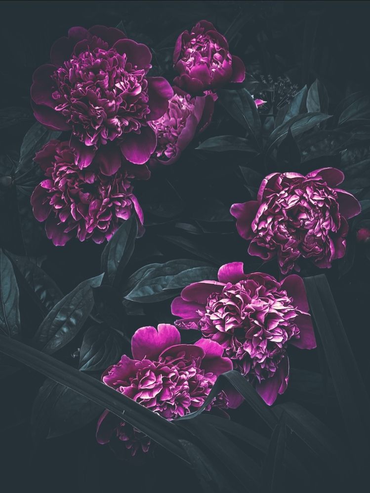 Photograph by Наталия Любчикова