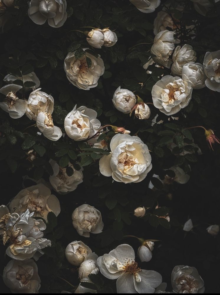 Photograph by Наталия Любчикова