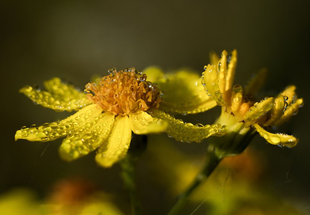 Photograph by Павел Соснин