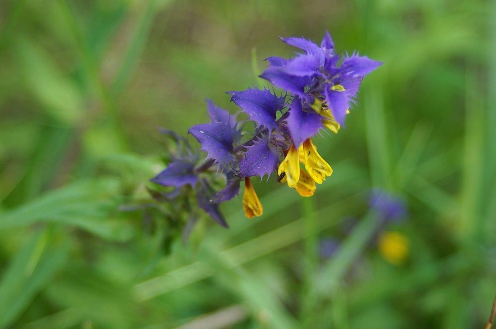 Photograph by Светлана Логинова