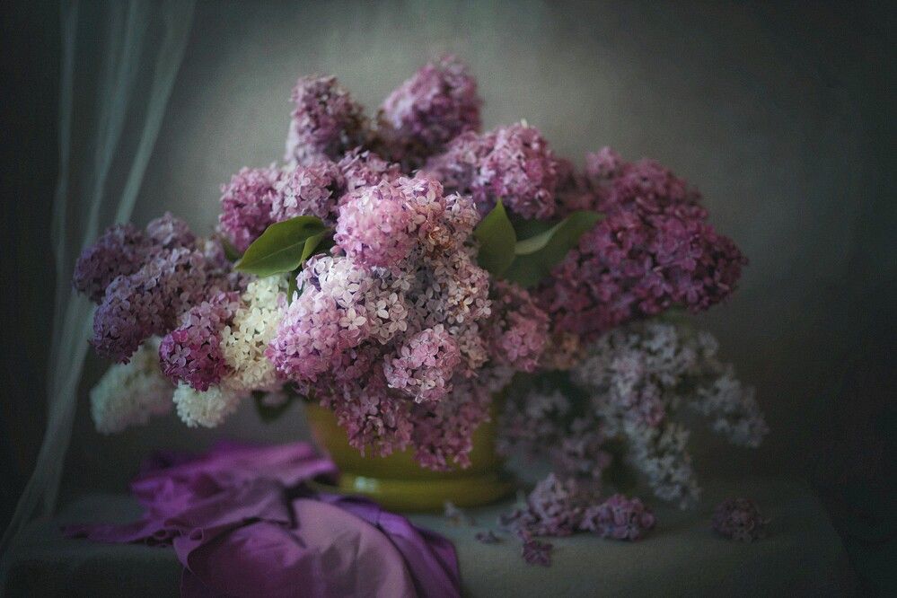 Photograph by Татьяна Максакова