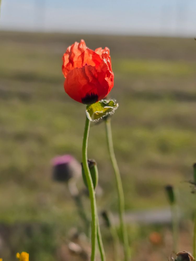 Photograph by Александра Воронина
