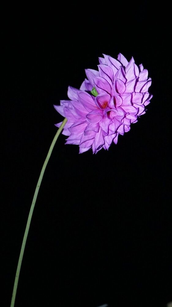 Photograph by Михаил Трусов