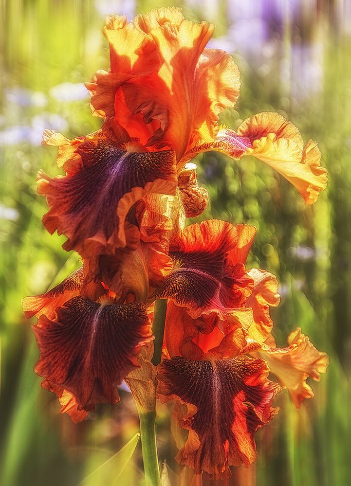 Фотография автора Александр