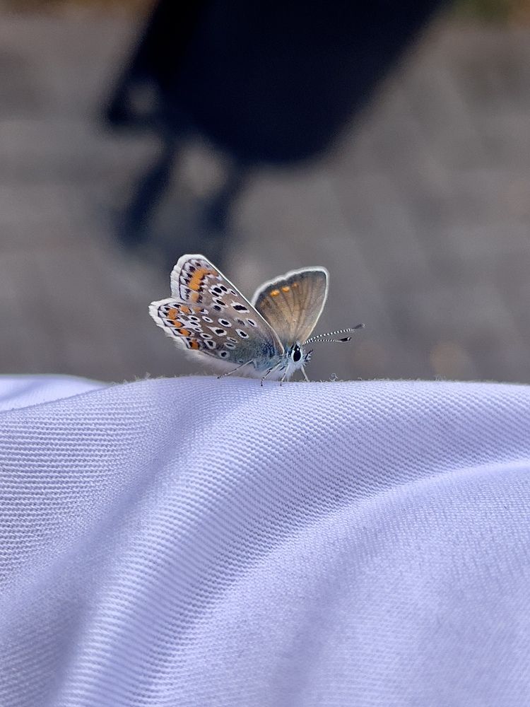 Photograph by Александр Михайлович