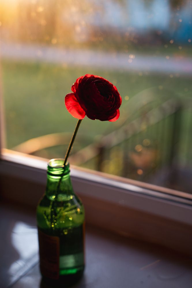 Photograph by Ирина Федорищева