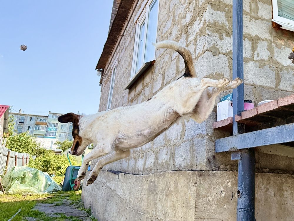 Photograph by Александр Михайлович