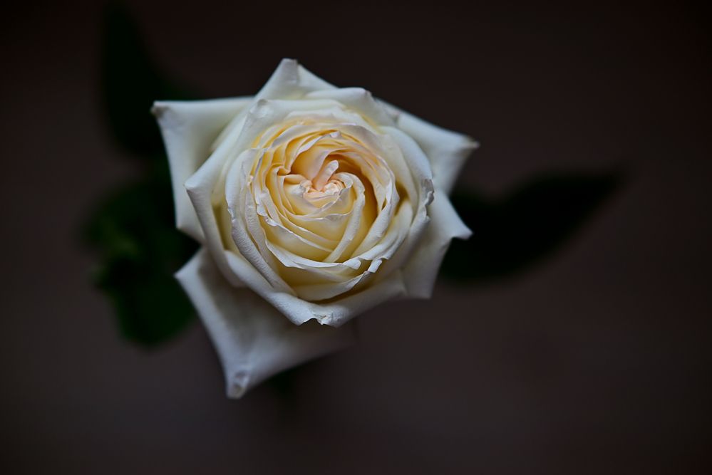 Photograph by Юлия Козельских