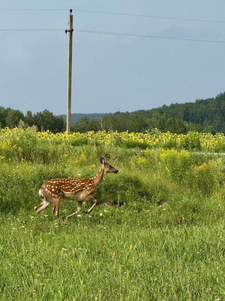 Photograph by Александр Михайлович