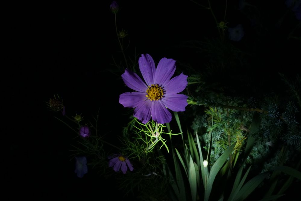 Photograph by Михаил Трусов