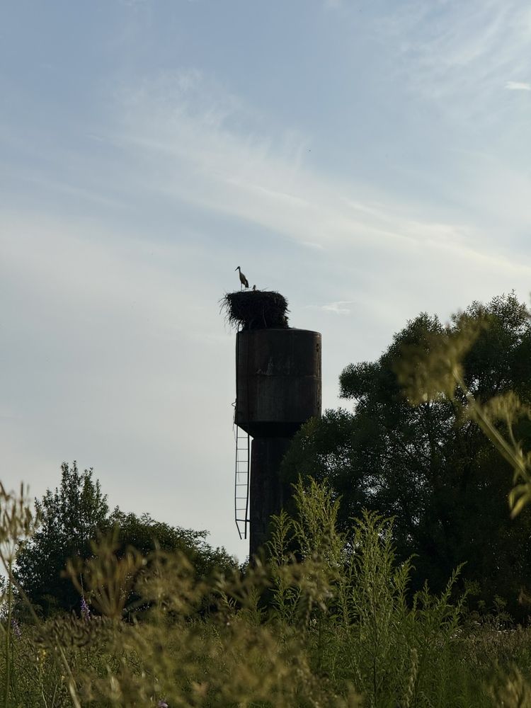 Photograph by Александр Михайлович