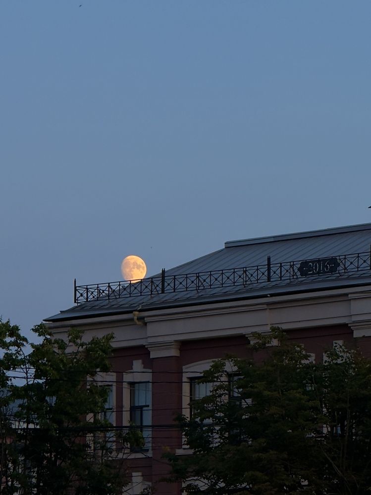 Photograph by Александр Михайлович