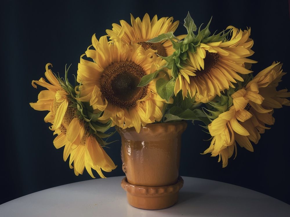 Фотография автора Рамзия Хисамутдинова