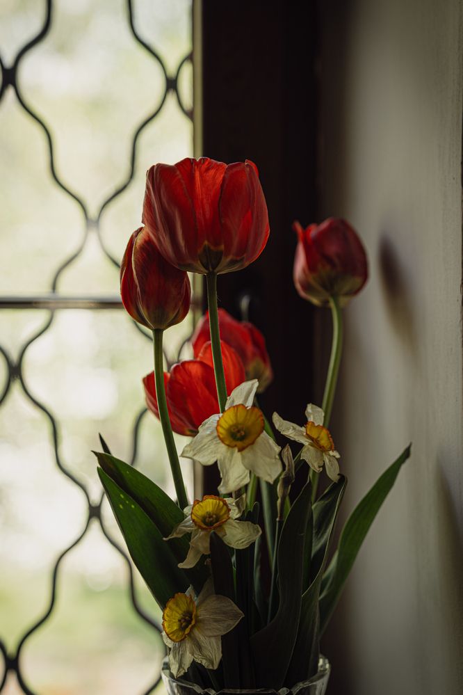 Photograph by Ирина Федорищева