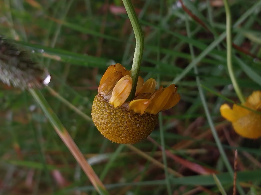 Photograph by Юлия Фирман