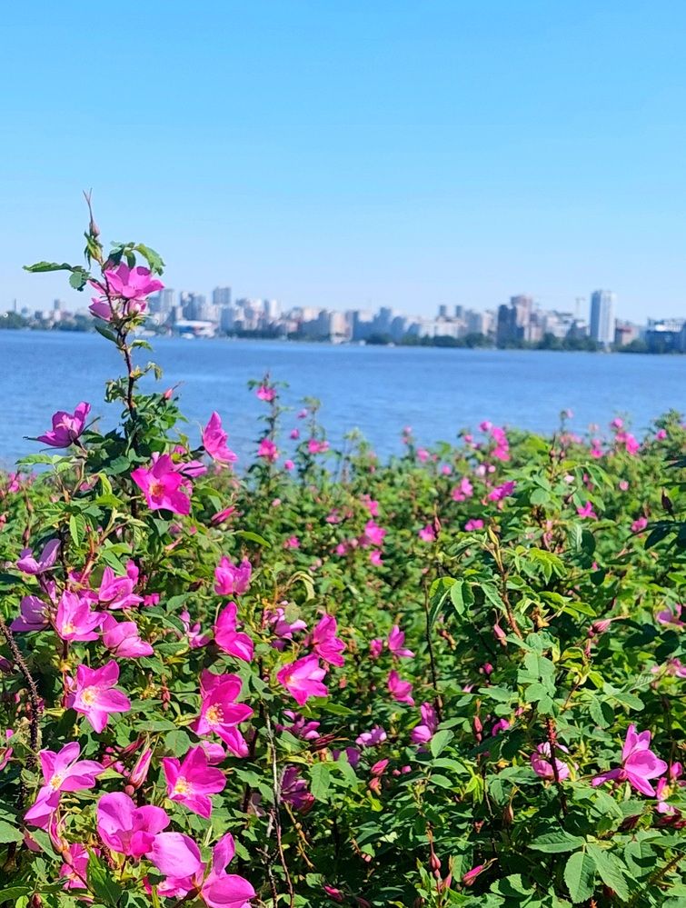 Фотография автора Анастасия Куликова