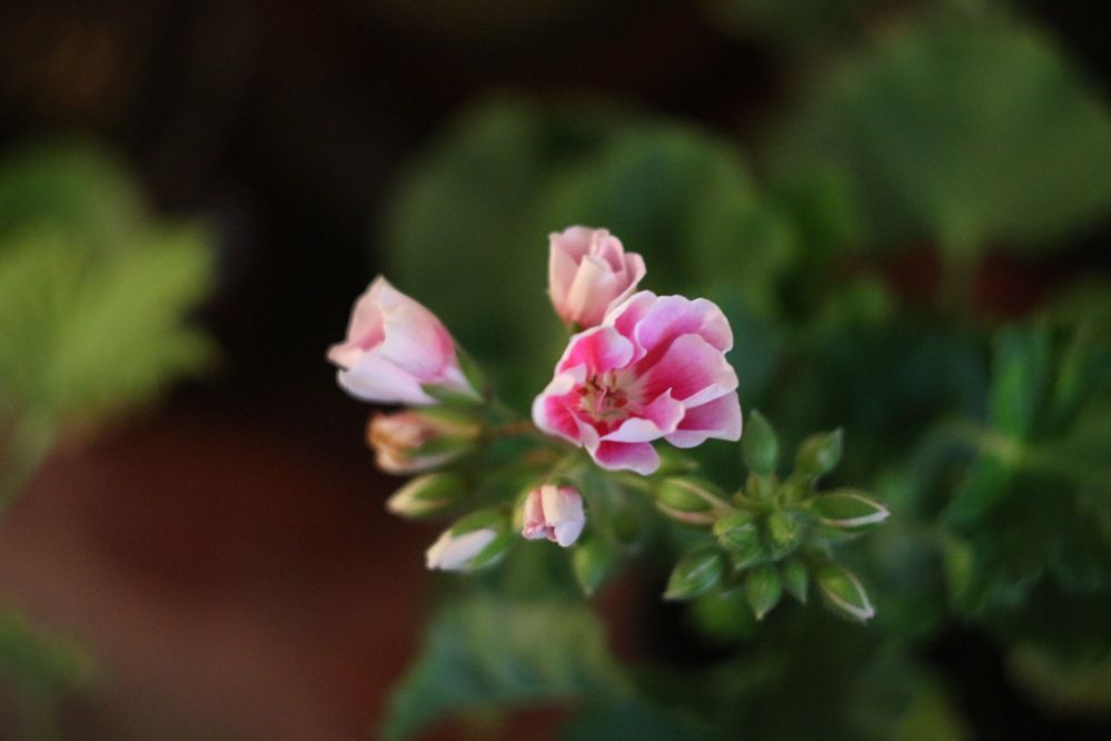 Photograph by Igors Rostikovs