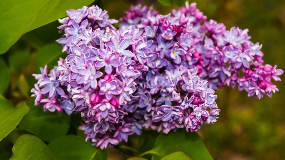 Photograph by Igors Rostikovs