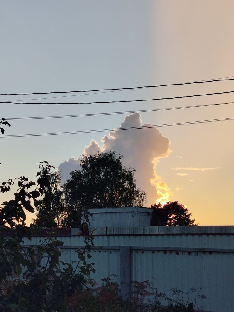 Photograph by Елена Азанова