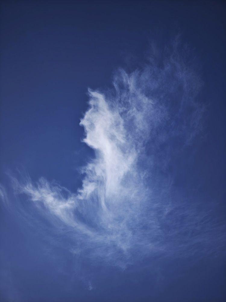 Photograph by Татьяна Соколовская