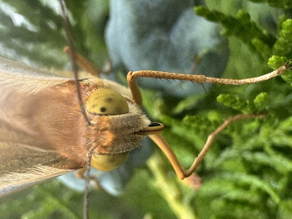 Photograph by Бойкова Наталия