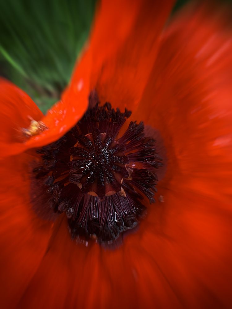 Photograph by Елена Чулюнина