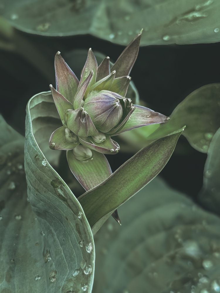 Photograph by Елена Чулюнина