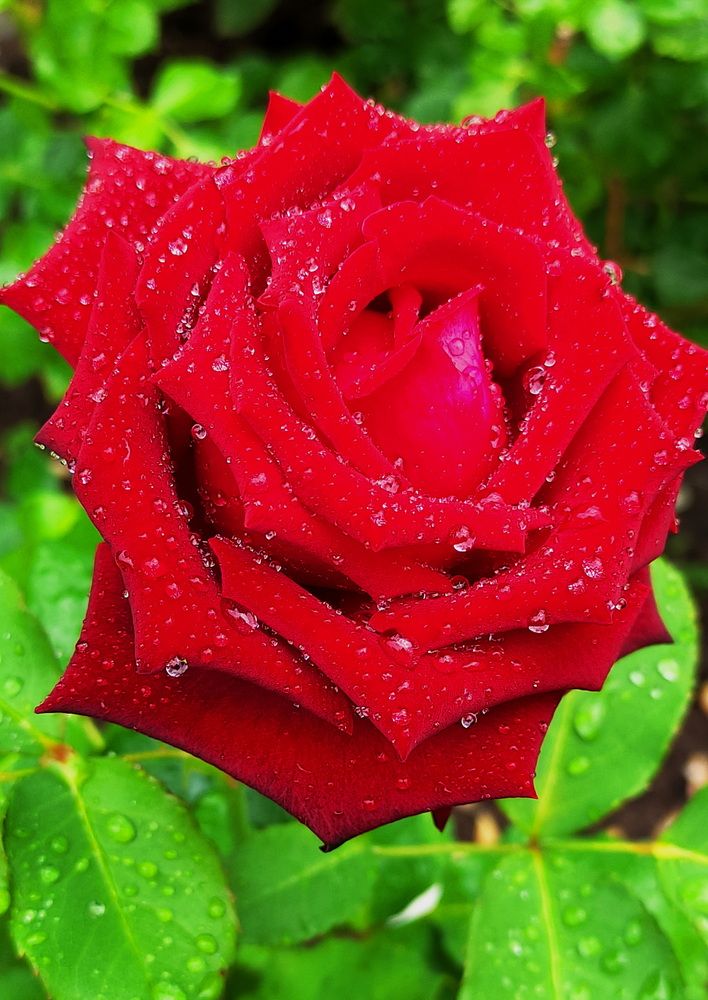 Photograph by Игорь Щербаков