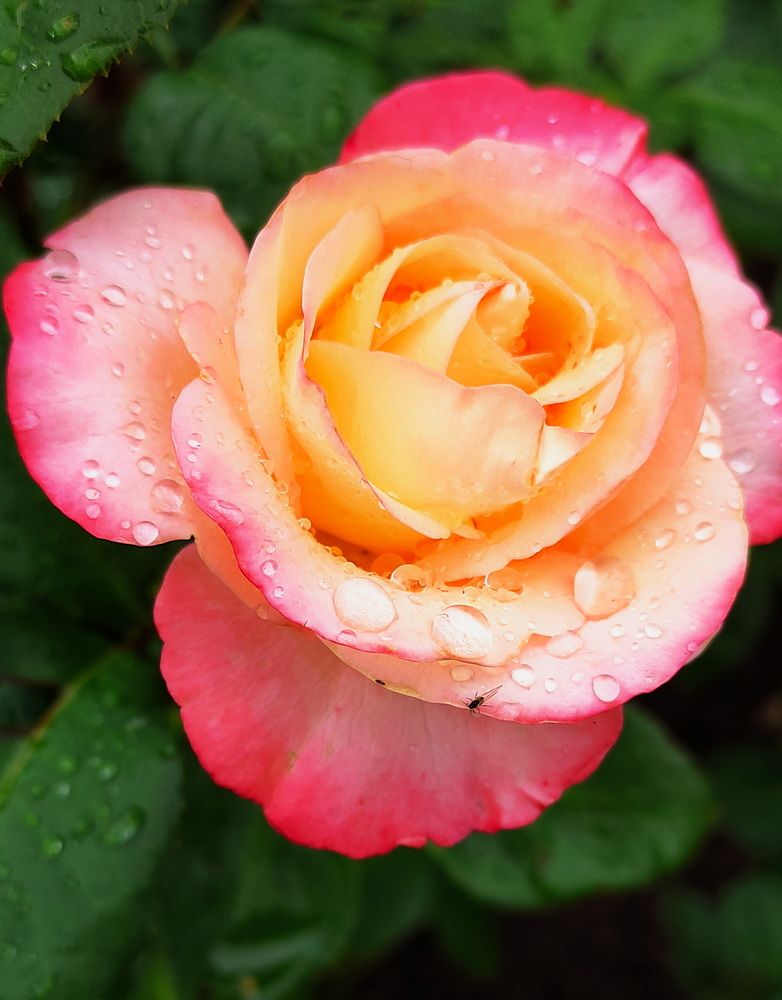 Photograph by Игорь Щербаков