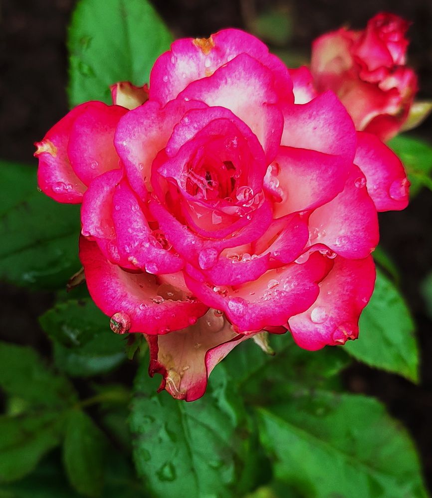 Photograph by Игорь Щербаков