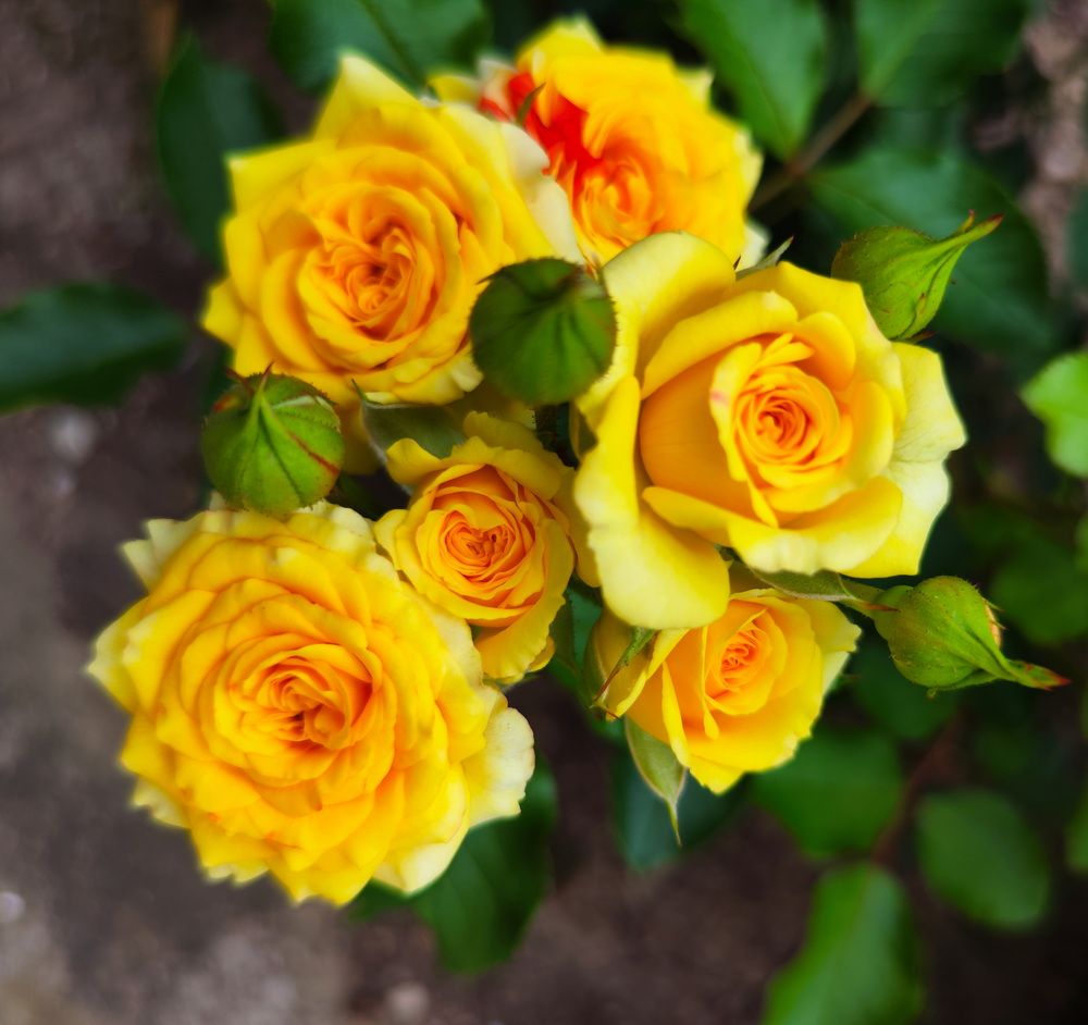 Photograph by Игорь Щербаков