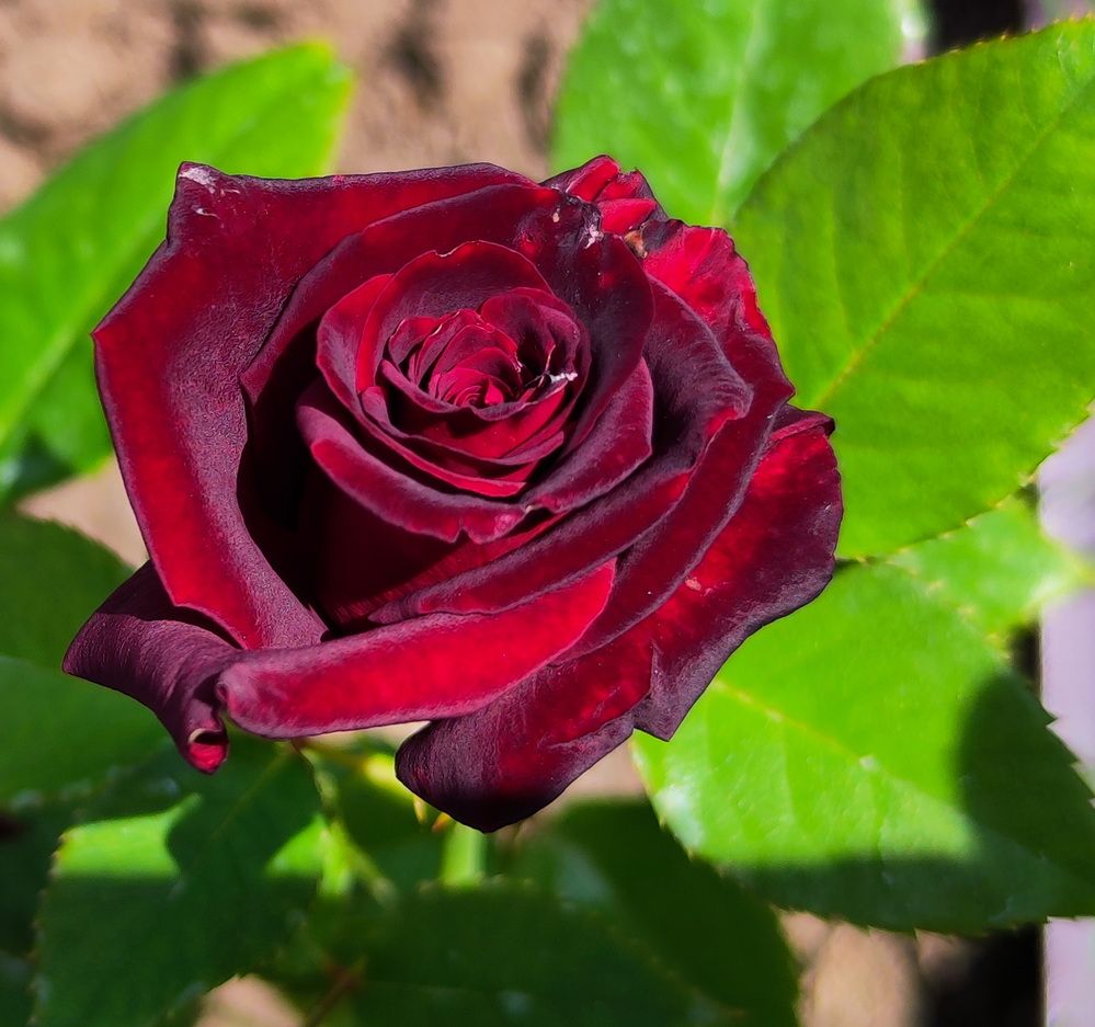 Photograph by Игорь Щербаков