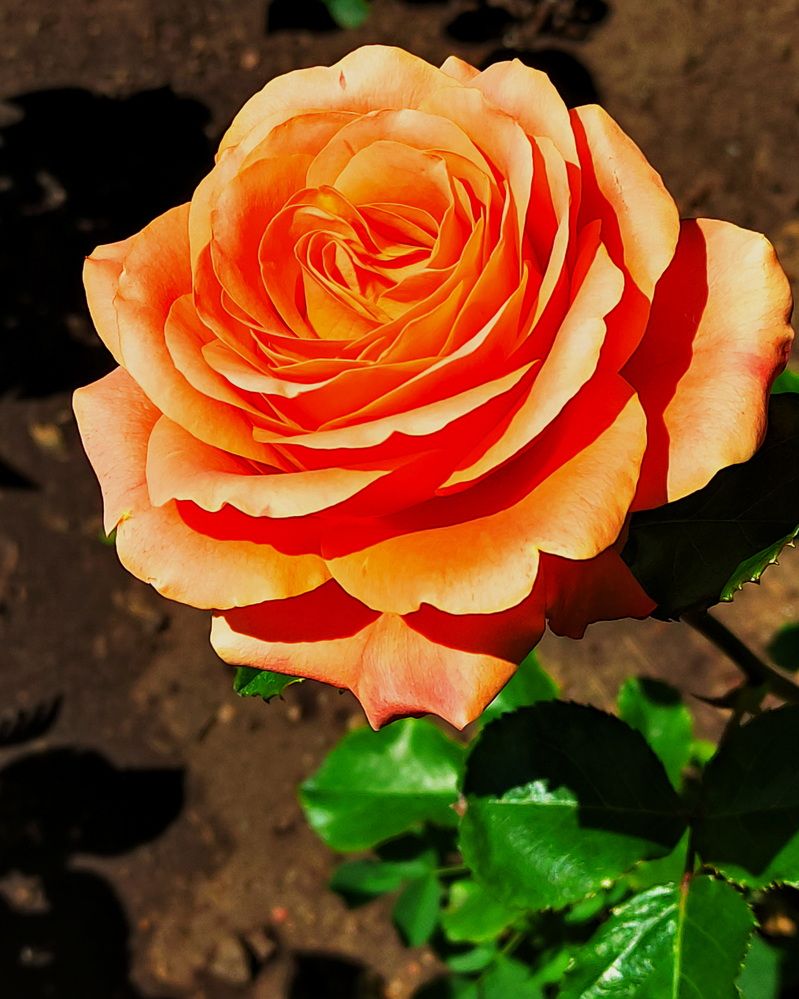 Photograph by Игорь Щербаков