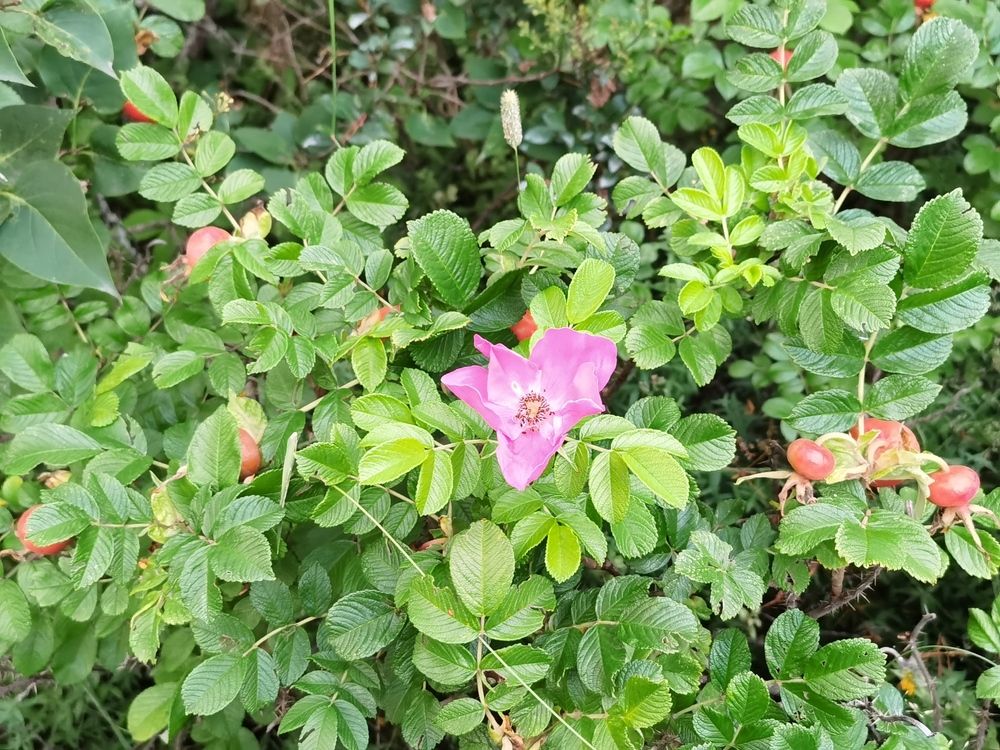 Photograph by Виталий Кореньков