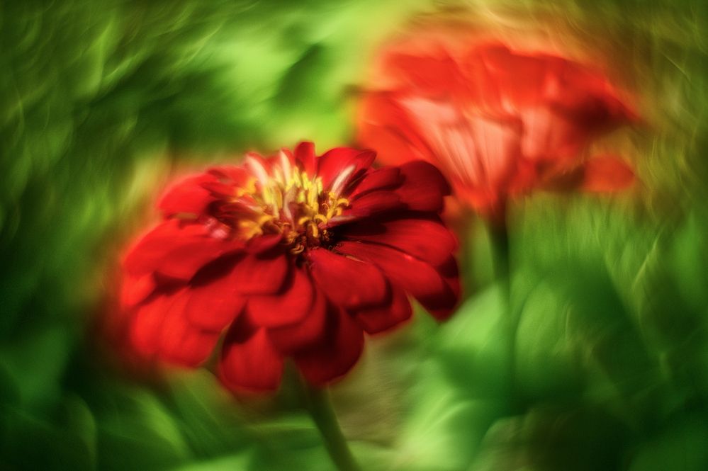 Photograph by Andrey Nuzhdin