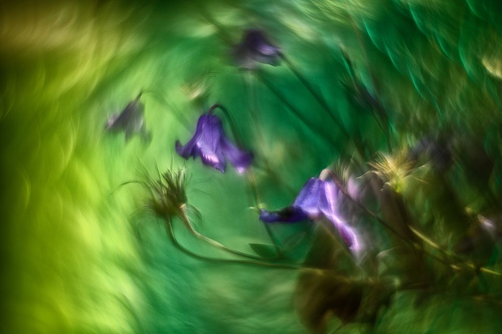 Photograph by Andrey Nuzhdin