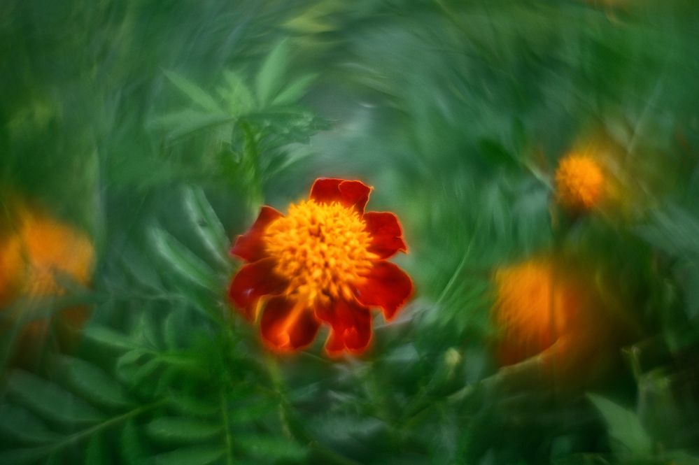 Photograph by Andrey Nuzhdin