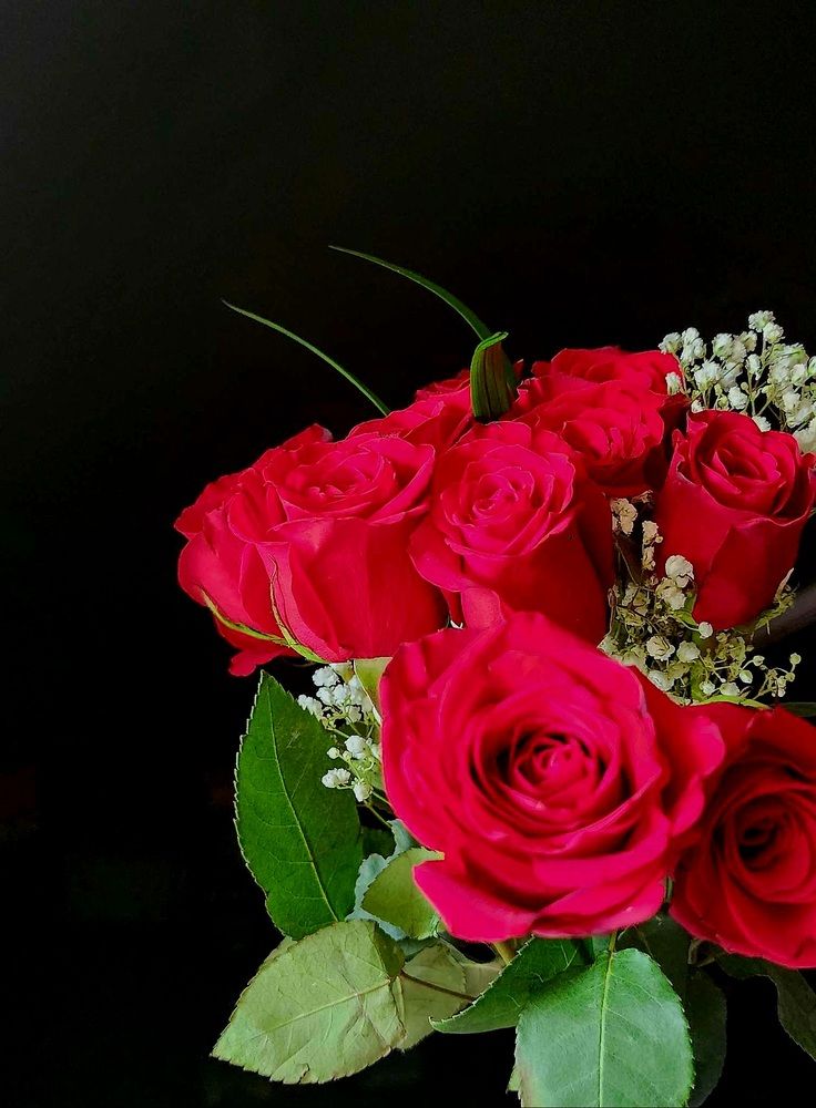 Фотография автора Adriana Rocha