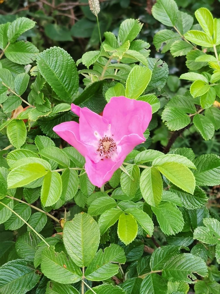 Photograph by Виталий Кореньков