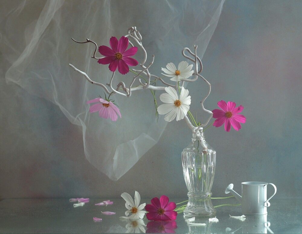 Photograph by Людмила Хрусталева*