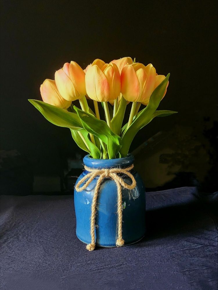 Фотография автора Adriana Rocha