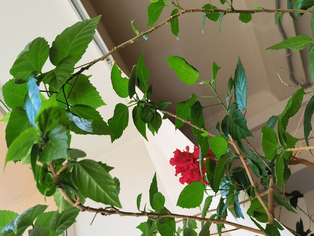 Photograph by Виталий Кореньков